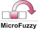 Mirco Fuzzy